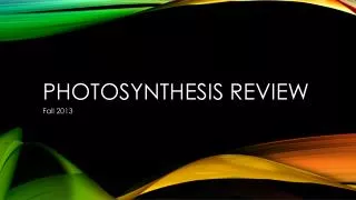 Photosynthesis Review
