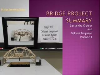 Bridge Project Summary