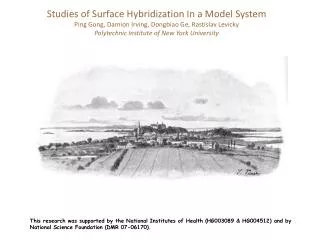 Studies of Surface Hybridization In a Model System