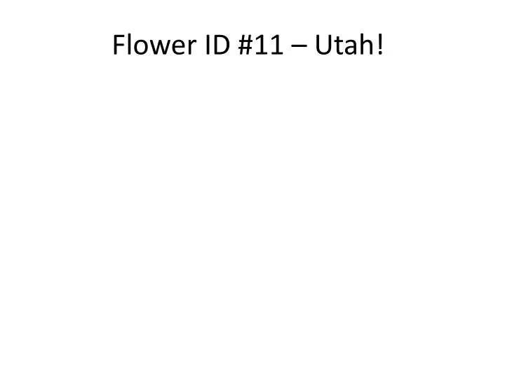 flower id 11 utah