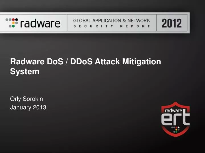 radware dos ddos attack mitigation system