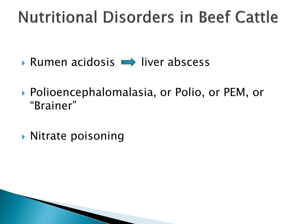 PPT - Nutritional Disorders in Beef Cattle PowerPoint Presentation ...