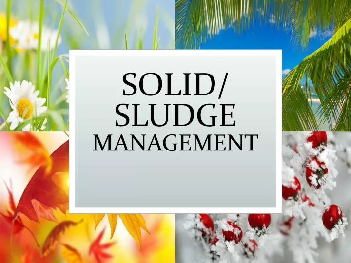 solid sludge management