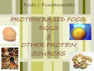 PROTEIN BASED FOOD: EGGS &amp; OTHER PROTEIN SOURCES