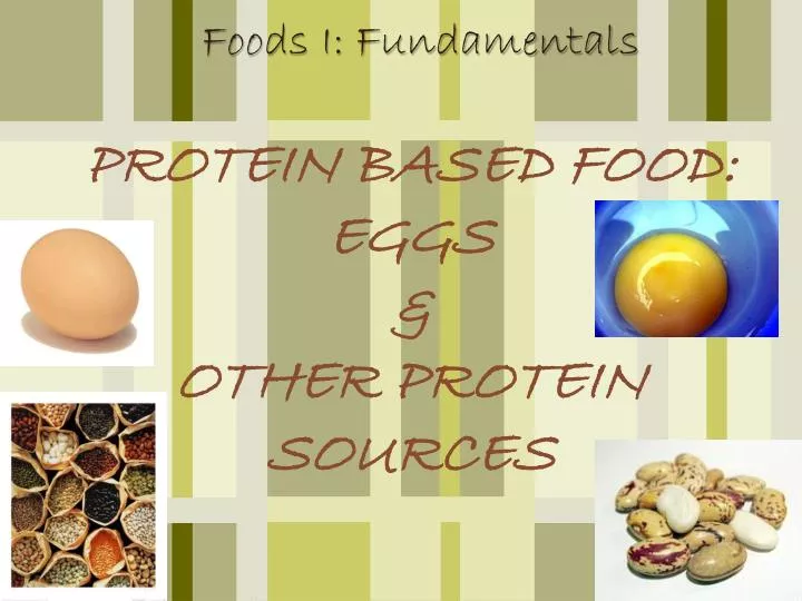 protein based food eggs other protein sources