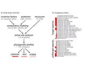 a . Study design schematic