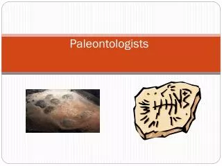 Paleontologists