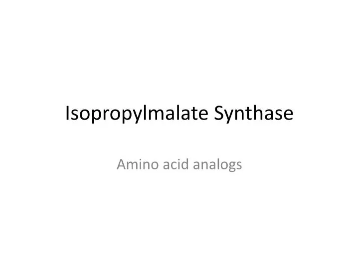 isopropylmalate synthase