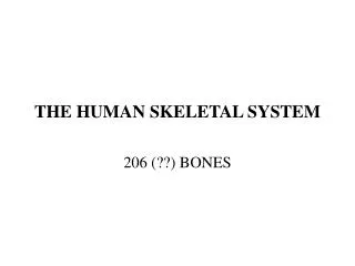 THE HUMAN SKELETAL SYSTEM