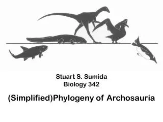 Stuart S. Sumida Biology 342 ( Simplified)Phylogeny of Archosauria
