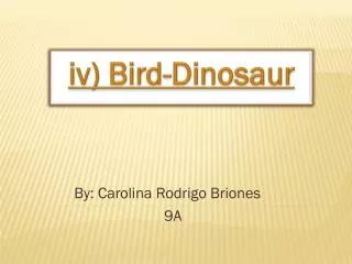 iv) Bird-Dinosaur