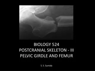 BIOLOGY 524 POSTCRANIAL SKELETON - III PELVIC GIRDLE AND FEMUR S. S. Sumida