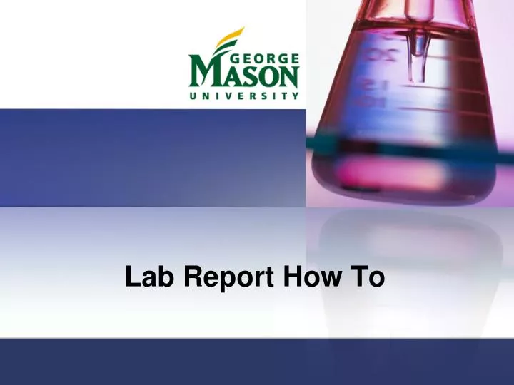 lab report how to