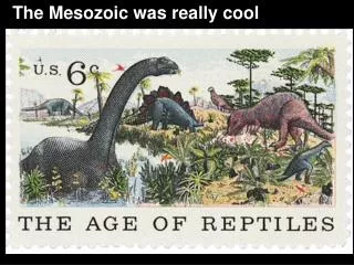 The Mesozoic was really cool