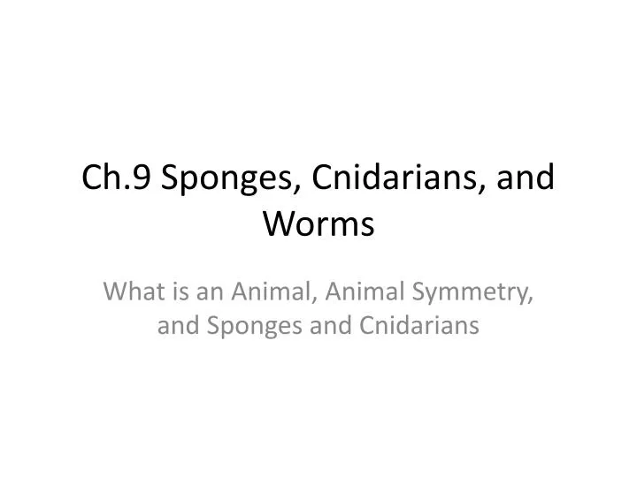 ch 9 sponges cnidarians and worms