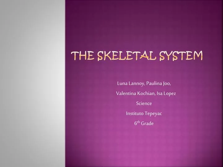 the skeletal system
