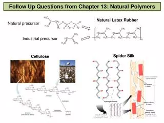 Follow Up Questions from Chapter 13: Natural Polymers