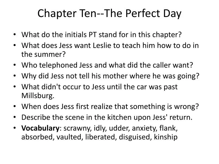 chapter ten the perfect day