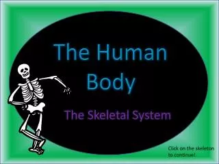 The Human Body