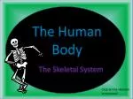The Human Body - slide 1