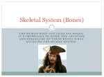 Skeletal System (Bones) - slide 1