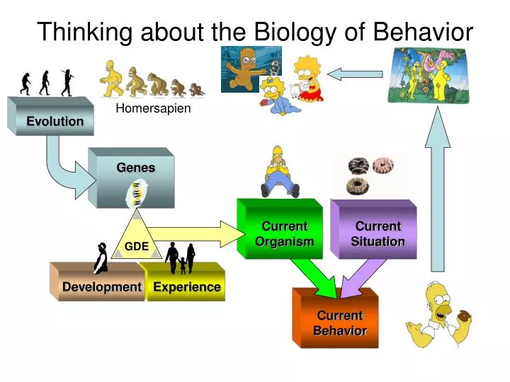 thinking about the biology of behavior