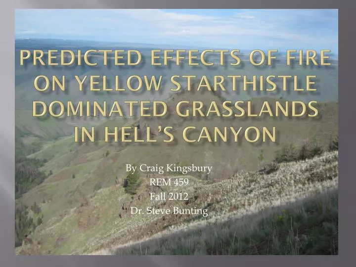 predicted effects of fire on yellow starthistle dominated grasslands in hell s canyon