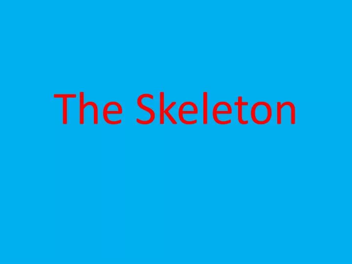 the skeleton