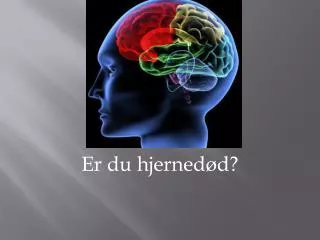 er du hjerned d