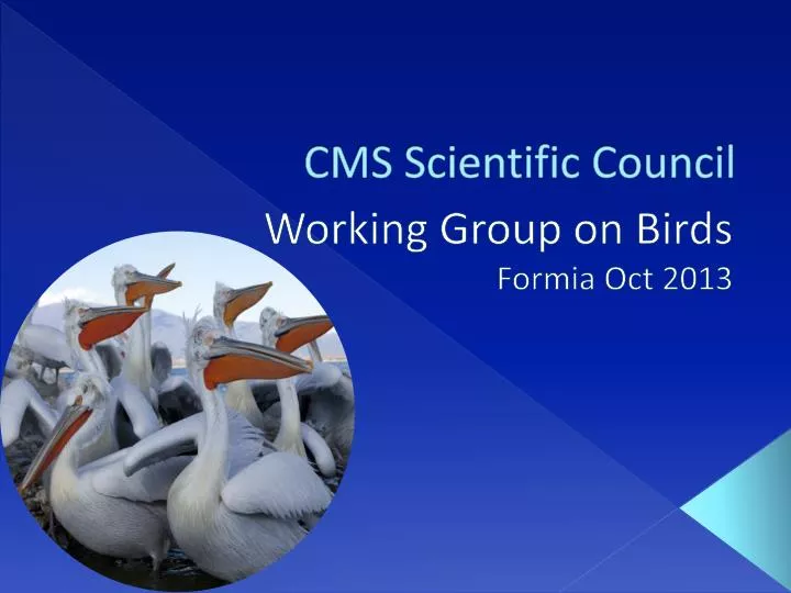 cms scientific council