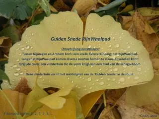 Gulden Snede RijnWaalpad Omschrijving kunstproject