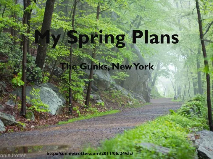 my spring plans