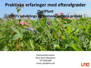 praktiske erfaringer med efterafgr der