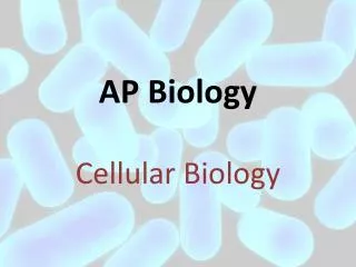 AP Biology