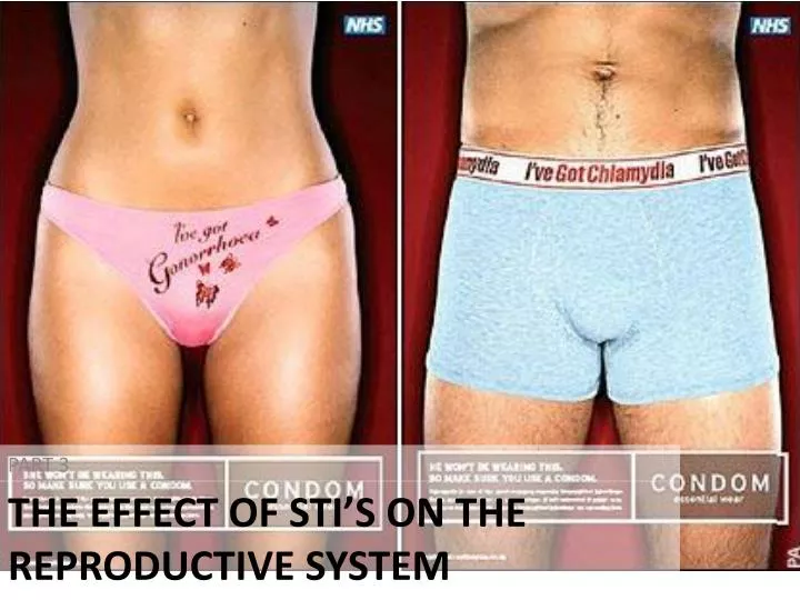 the effect of sti s on the reproductive system