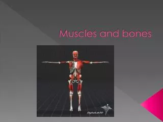 Muscles and bones