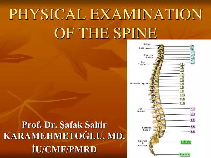 physical examination of the spine