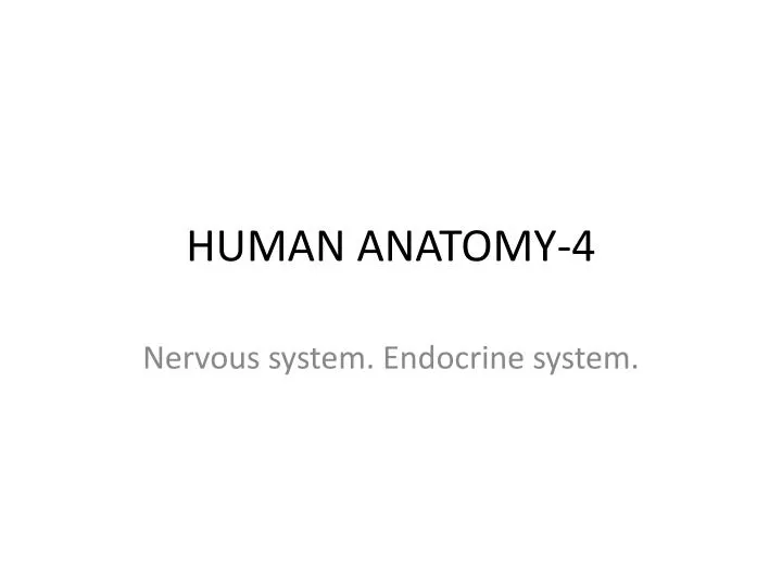 human anatomy 4