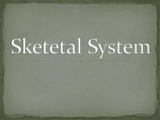 Sketetal System