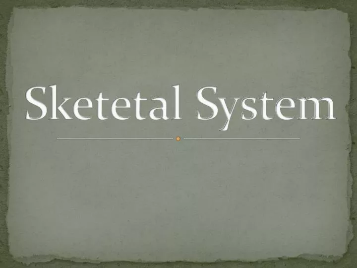 sketetal system