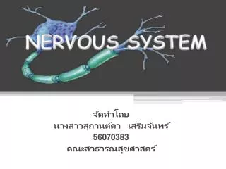 nervous system