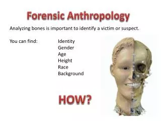 Analyzing bones is important to identify a victim or suspect. You can find: 		Identity 		Gender