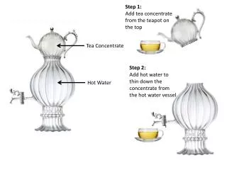 Tea Concentrate