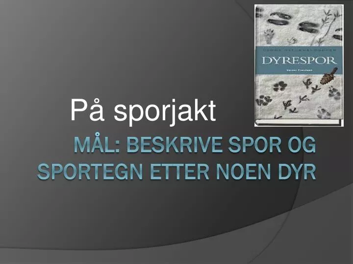 p sporjakt