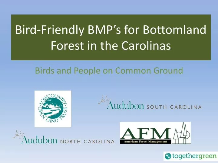 bird friendly bmp s for bottomland forest in the carolinas