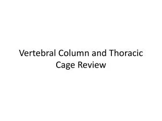 Vertebral Column and Thoracic Cage Review