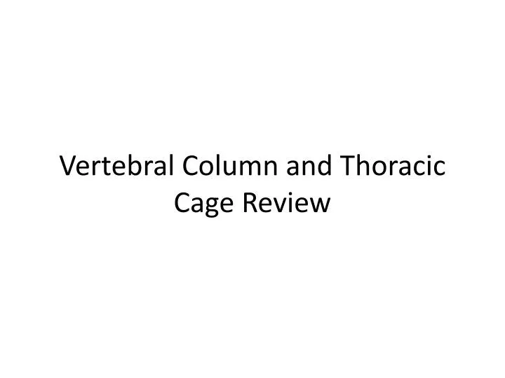 vertebral column and thoracic cage review