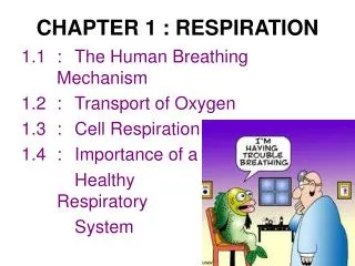 CHAPTER 1 : RESPIRATION