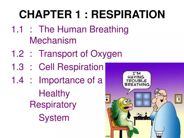 chapter 1 respiration