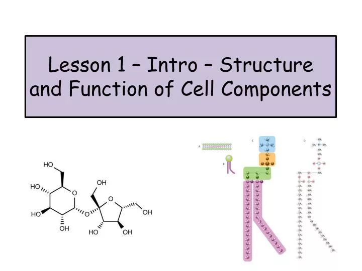 lesson 1 intro structure and function of cell components